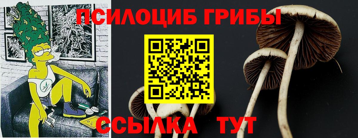 Галлюциногенные грибы мухоморы Горячий Ключ