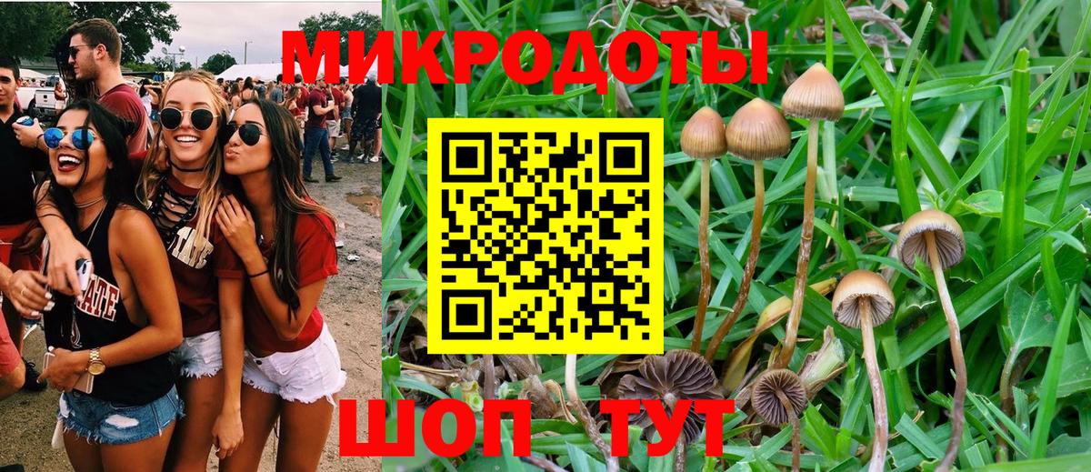 Горячий Ключ  Галлюциногенные грибы мицелий  Вход с VPN 